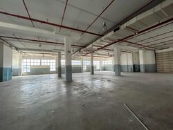 Serangoon North Avenue 4 (D19), Factory #457744321